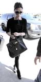 th_26758_celebrity_paradise.com_TheElder_VictoriaBeckham2010_03_15_atLAX2_122_219lo.jpg