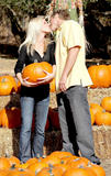 Heidi Montag And Spencer’s Pumpkin Patch Lovin’
