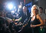 Pamela Anderson speaks to journalists after Russia's MTV Movie Awards