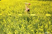Aria Giovanni - Yellow Field of Flowers -j11li56hka.jpg