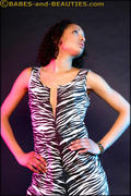 karen - zebra dress-z121lk52wj.jpg